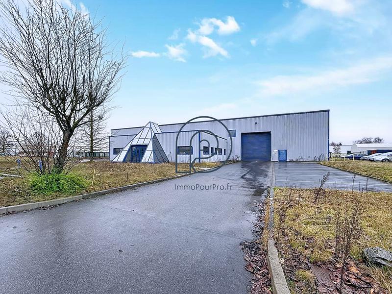 Local d'activités - 3 870 m²