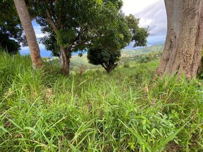 Terrain - 10 800 m²