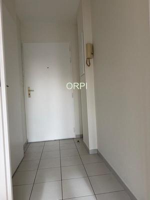 Studio - 30 m² - 1 pièce