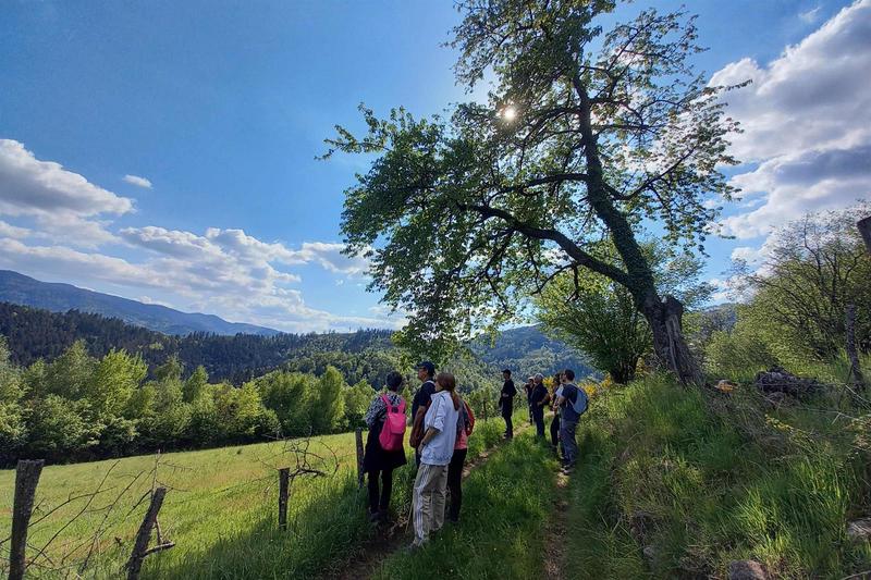 Visite guidée : le tour du Grand Rombach