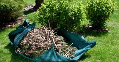 Atelier &quot;Broyer Ses Végétaux Pour Mieux les Réutiliser&quot;