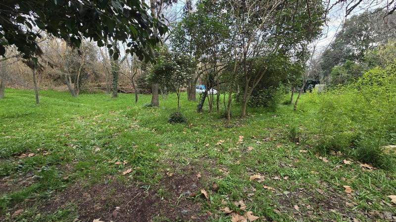 Terrain constructible - 300 m²