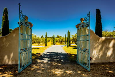 Visite du Domaine Oleicole de Pradines le Bas
