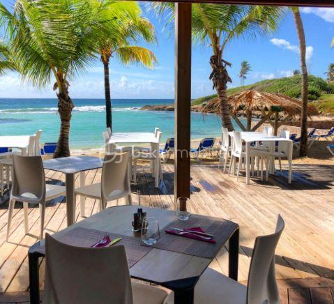 Studio - 19 m² - 1 pièce