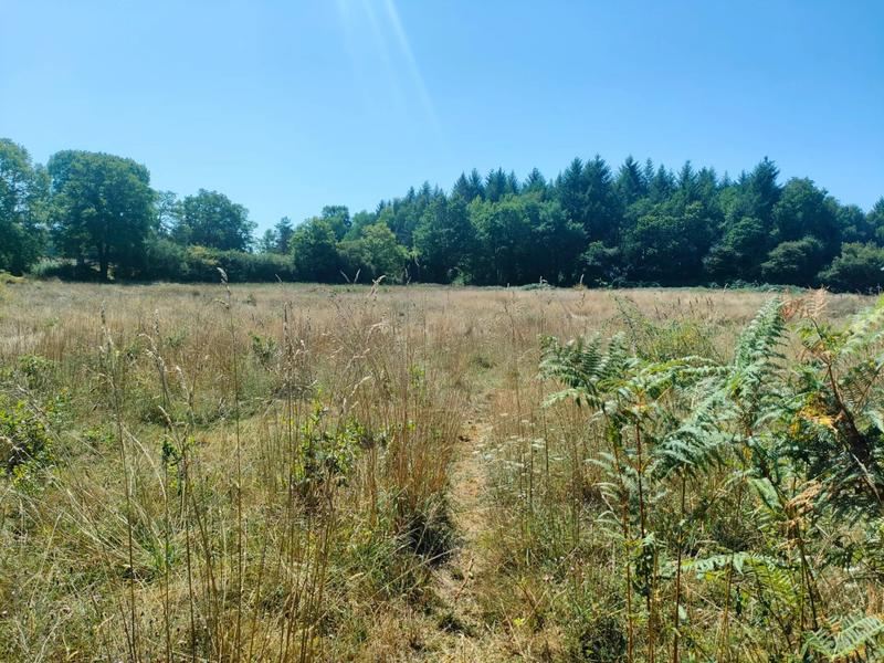 Maison - 243 m² - 9 pièces