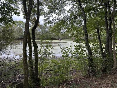 Terrain de loisirs - 8 220 m²