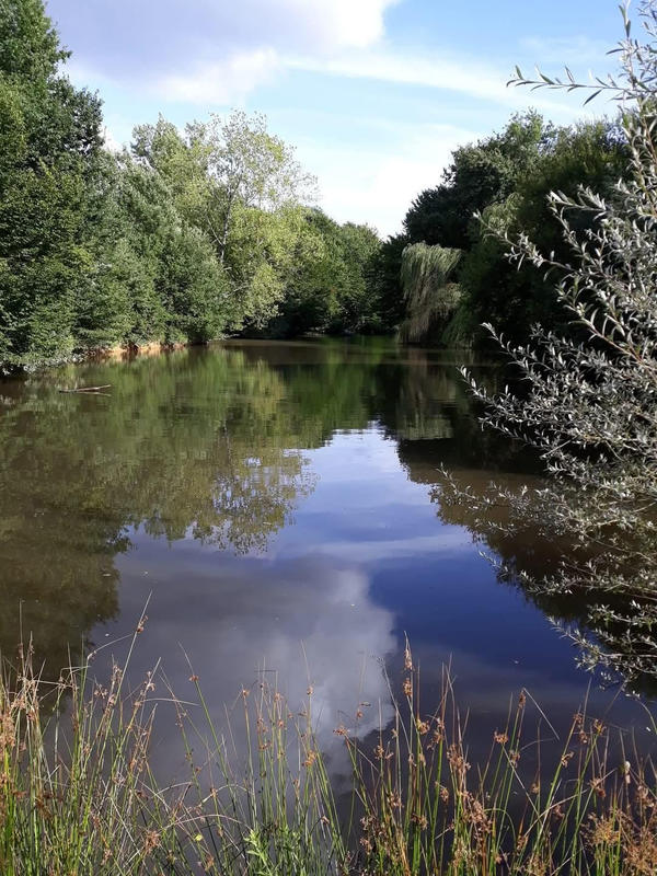 Maison - 375 m² - 17 pièces