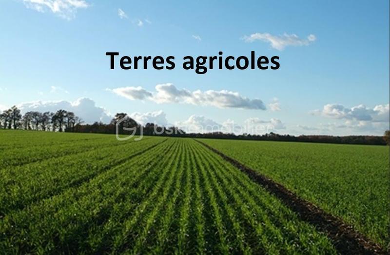 Propriété - 160 m² - 6 pièces