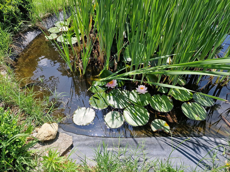 Maison - 325 m² - 10 pièces