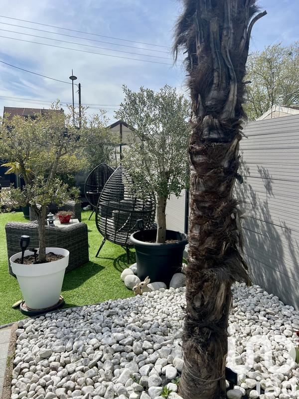 Maison - 85 m² - 3 pièces