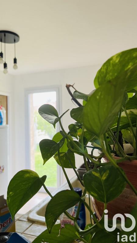 Maison - 106 m² - 5 pièces