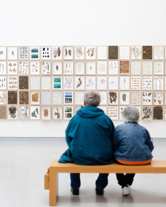 Exposition Zoom Visages et œuvres de la Collection Würth