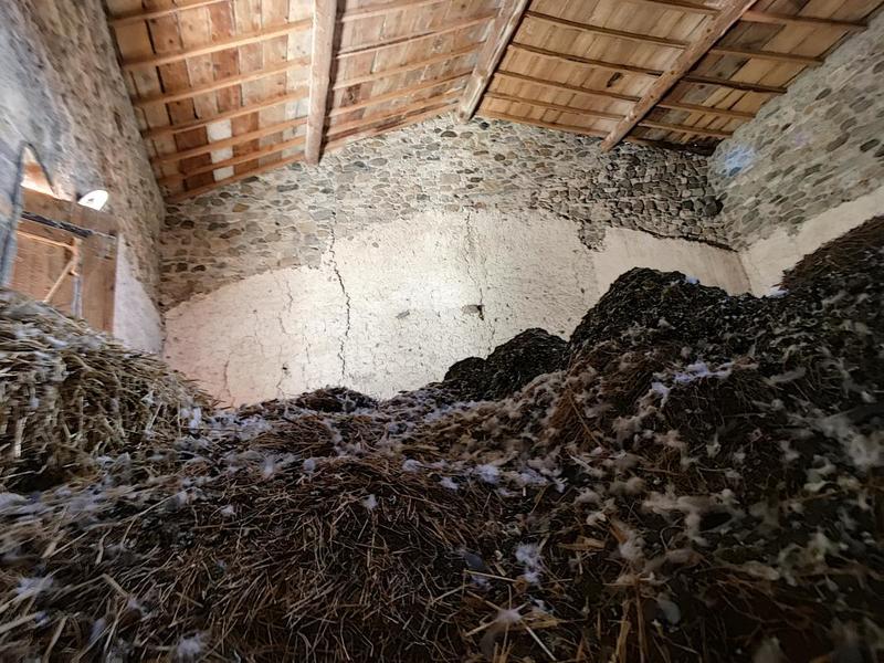 Maison - 82 m² - 5 pièces