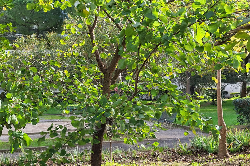 Appartement - 78 m²