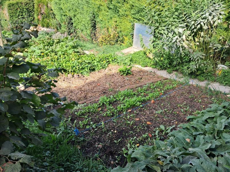 Châlet - 190 m² - 10 pièces