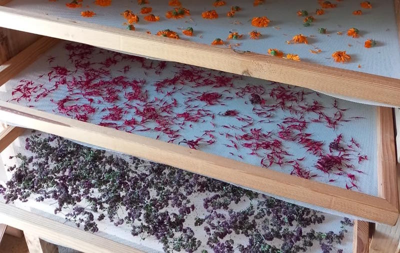 Initiez-vous à la permaculture à St-Laurent-les-Eglises