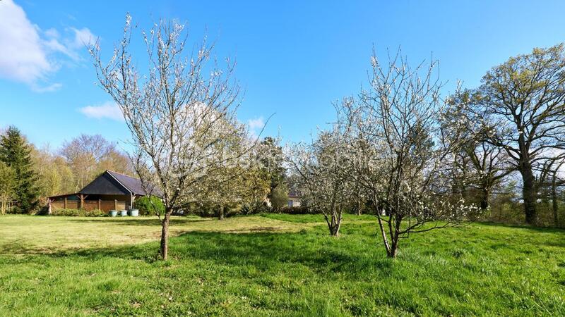 Propriété - 257 m² - 7 pièces