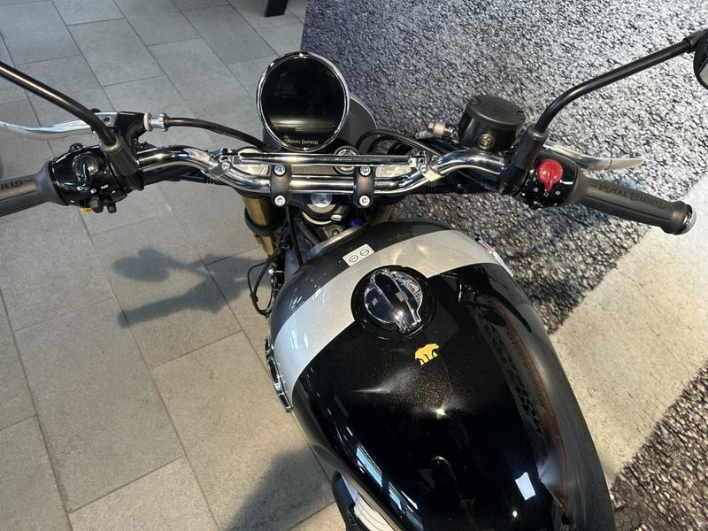 Royal Enfield 650 Bear