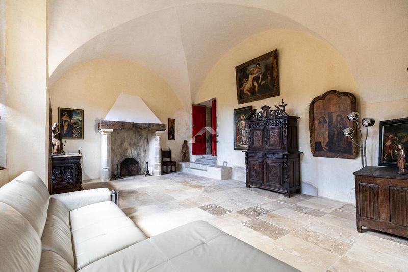 Château - 476 m² - 9 pièces