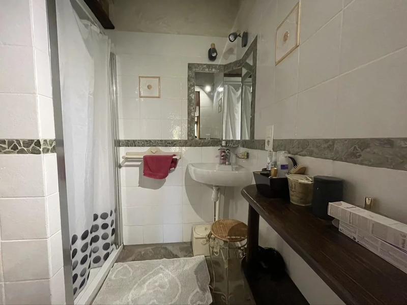 Maison en pierre - 288 m² - 11 pièces