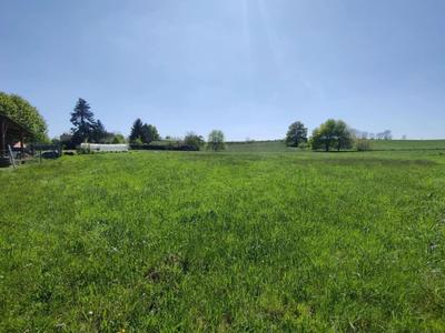 Terrain - 13 561 m²