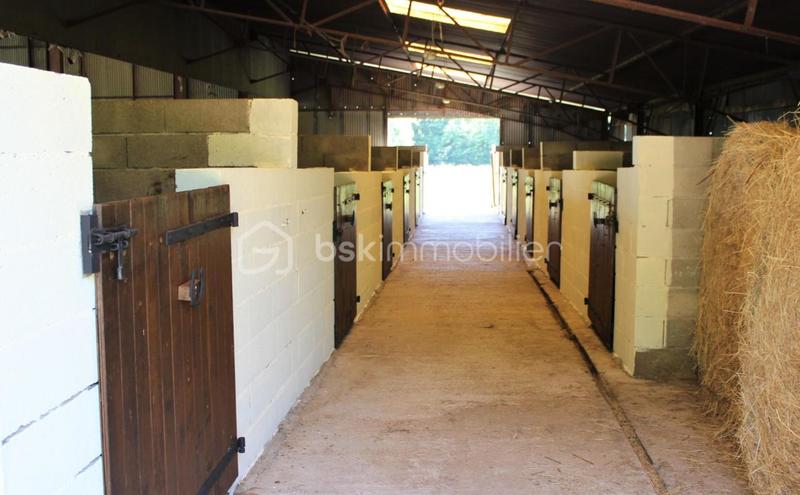 Longère - 370 m² - 10 pièces