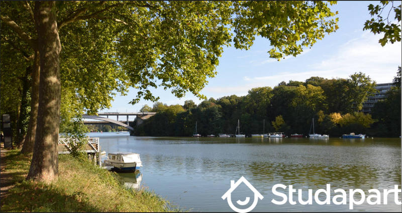 Chambre - 10 m² - 1 pièce