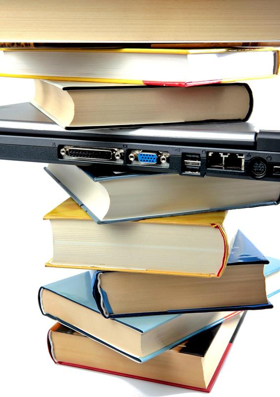 Finale Départementale des Petits Champions de la Lecture