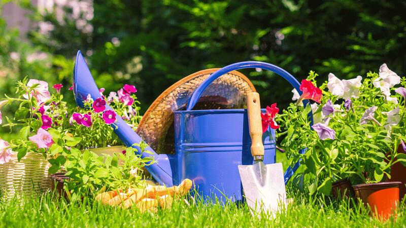 Les Floralies de l'Acbv