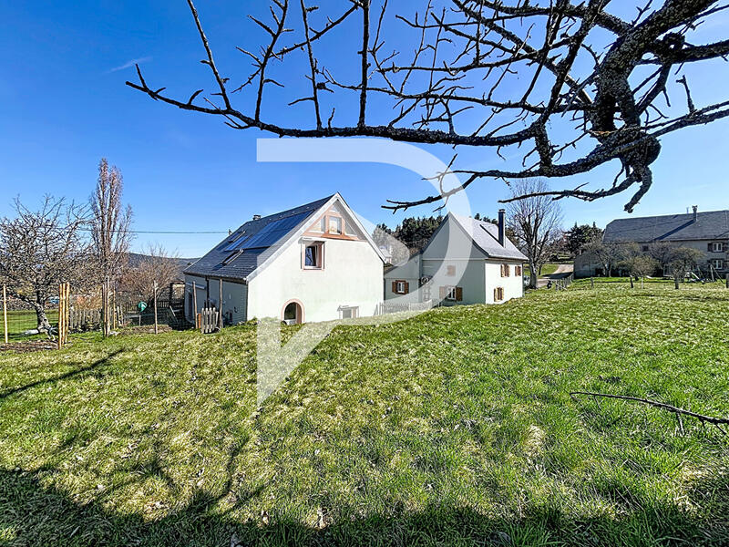 Maison - 260 m² - 12 pièces