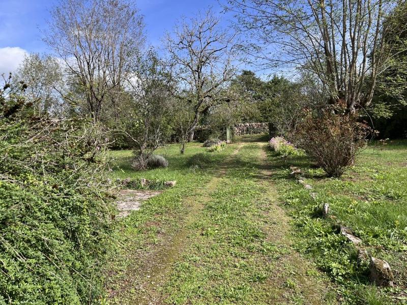 Maison ancienne - 130 m² - 6 pièces