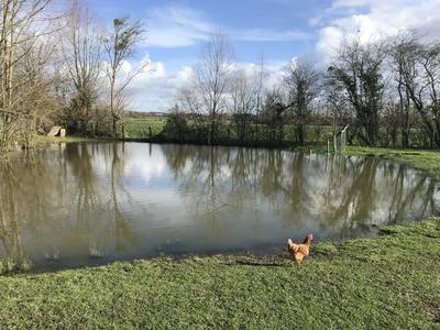 Maison - 213 m² - 8 pièces