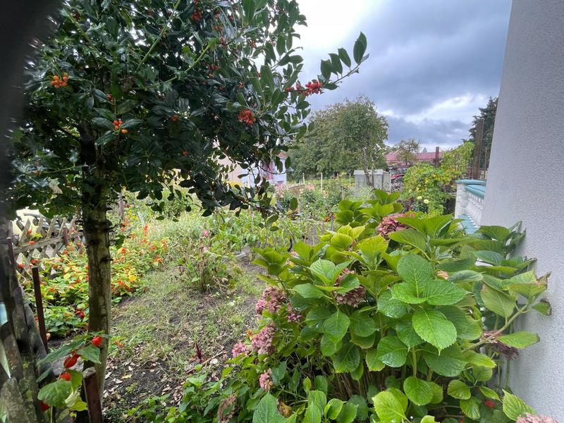 Maison - 156 m² - 8 pièces