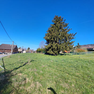 Terrain constructible - 1 591 m²