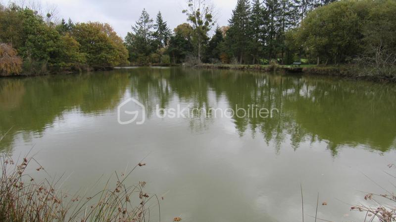 Terrain de loisirs - 16 985 m²