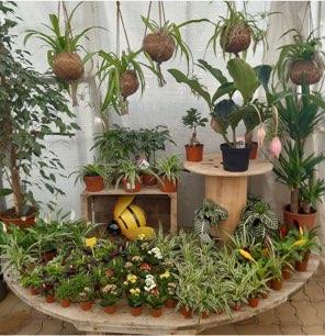 Aux Serres Hermitoises