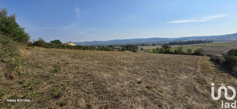 Terrain - 4 317 m²