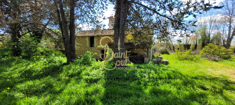 Maison - 350 m² - 10 pièces