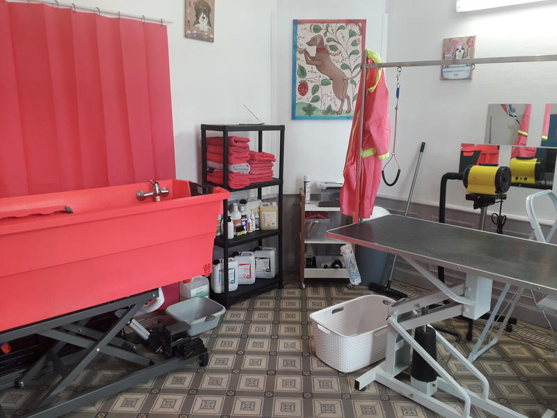 "Jolie truffe" Toilettage canin