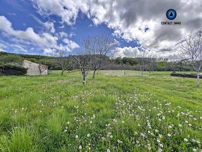 Terrain - 12 890 m²