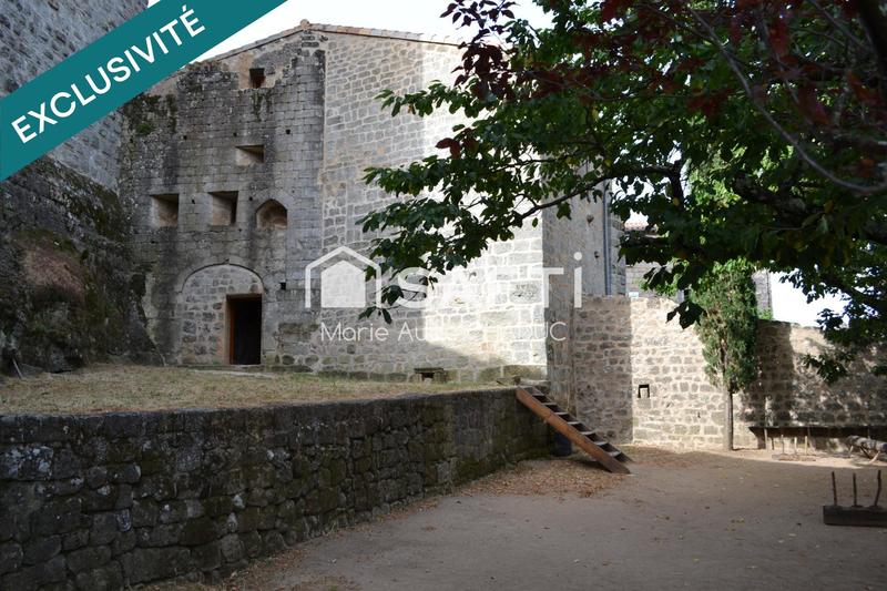 Château - 800 m² - 15 pièces