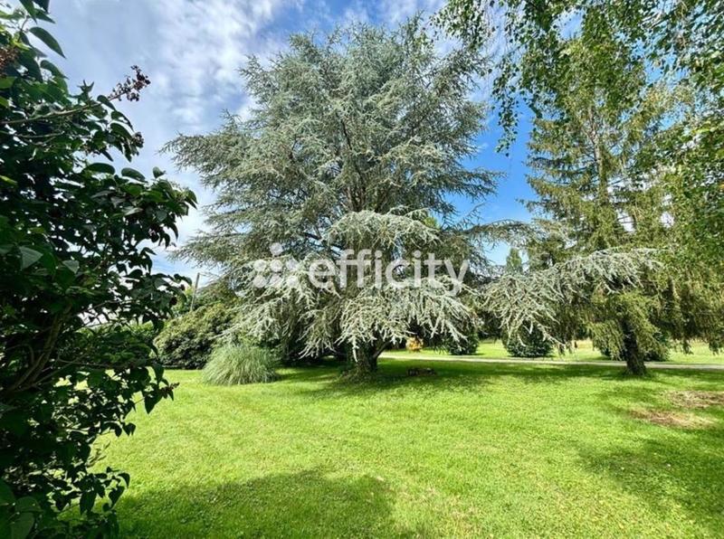 Manoir - 680 m² - 22 pièces