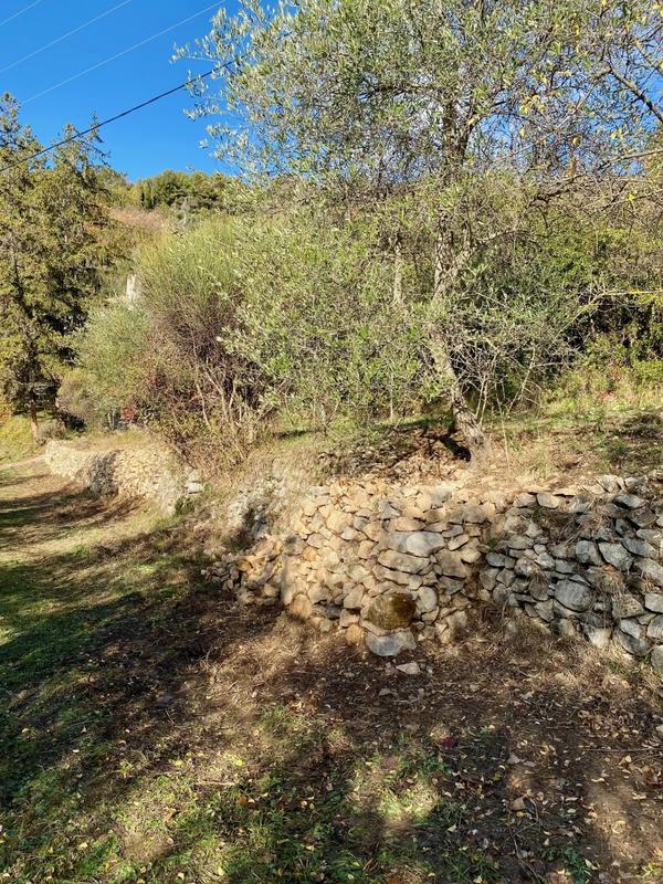 Terrain inconstructible - 2 400 m²