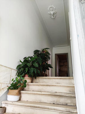 Maison - 79 m² - 2 pièces