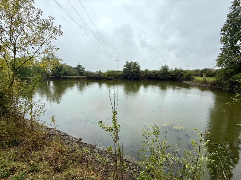 Terrain de loisirs - 6 000 m²