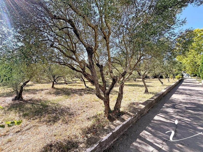 Appartement - 147 m² - 5 pièces