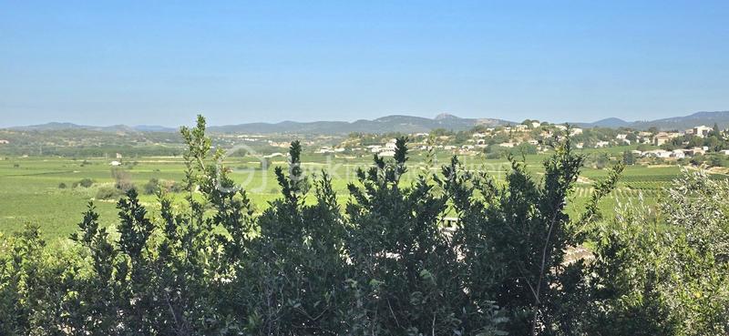 Maison d'architecte - 178 m² - 7 pièces