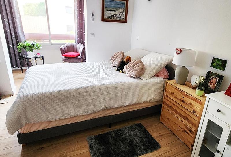 Studio - 19 m² - 1 pièce