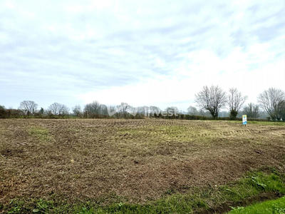 Terrain - 700 m²