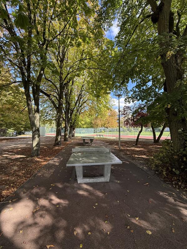 Appartement - 52 m² - 3 pièces